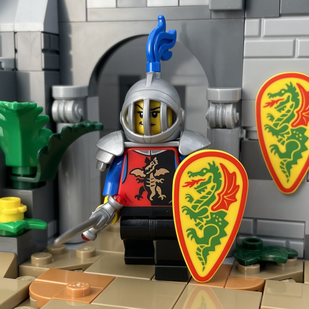 Dragon Masters Shield Ovoid Print